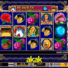 akak Salvador - Bonus Stats